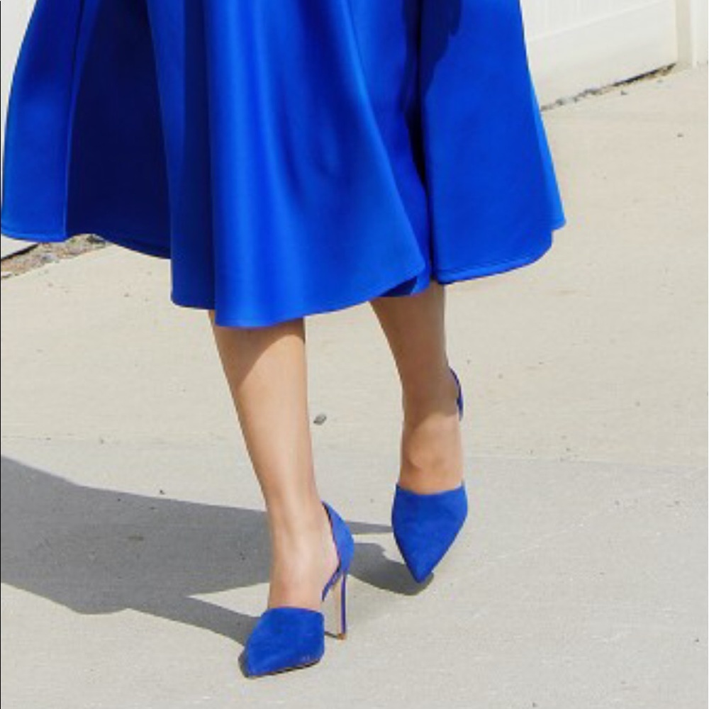 Zara Royal Blue Pointed Toe Stiletto Heels